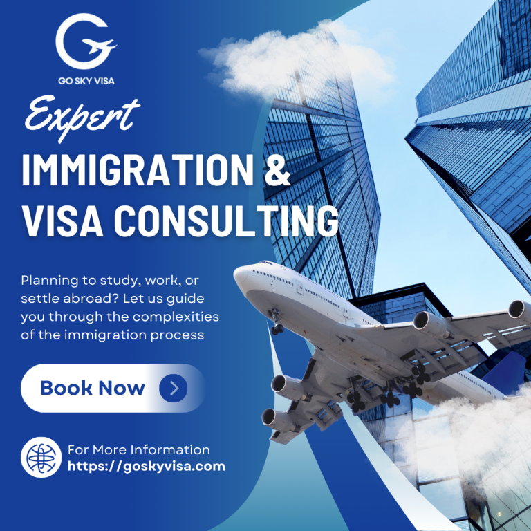 Factors to Consider When Hiring an Immigration Consultant - Go Sky Visa