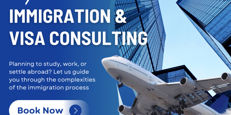 Factors to Consider When Hiring an Immigration Consultant - Go Sky Visa