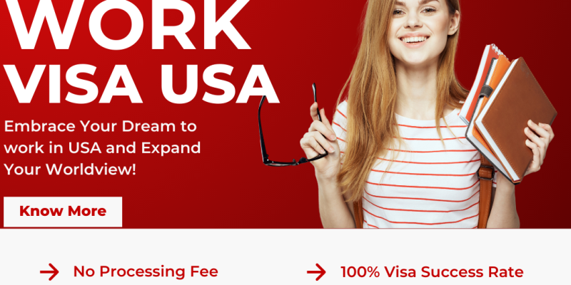 Working in the USA - Go Sky Visa